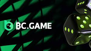 Comprehensive Review of BC.Game Platform Features, Pros, and Cons