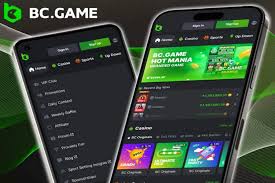 An In-depth Look at the BC.Game Platform A Revolutionary Playground for Gamers