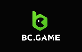 Understanding BC.Game General Terms and Conditions